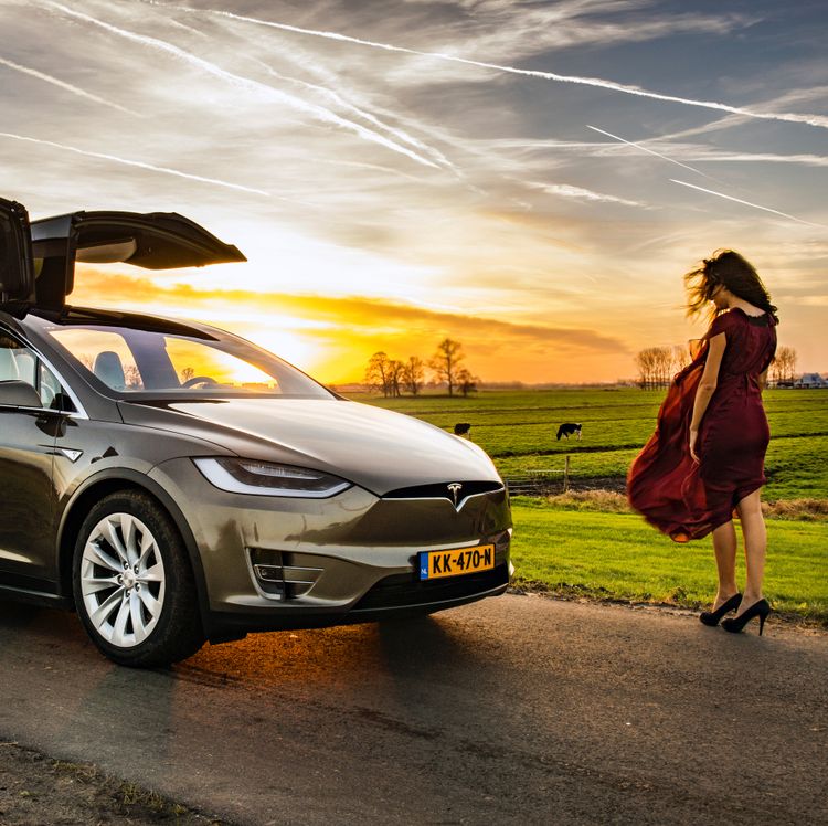 Mistergreen's business strategy and my Tesla Model X